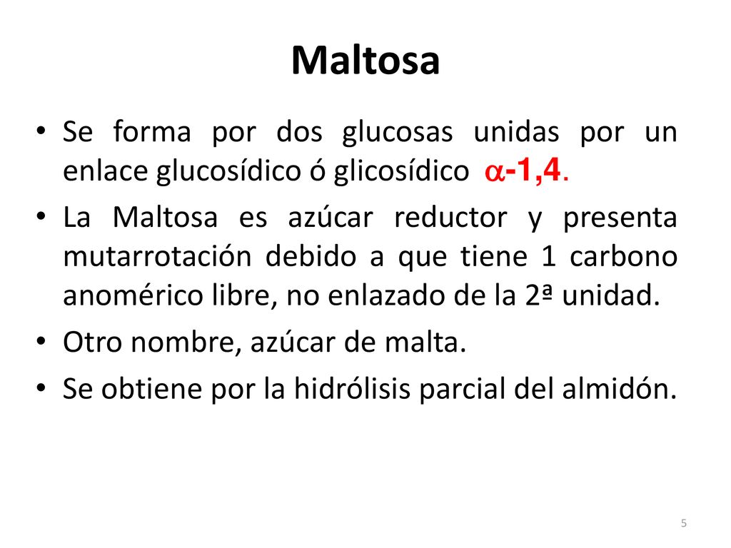 Maltosa Se forma por dos glucosas unidas por un enlace glucosídico ó glicosídico a-1,4.