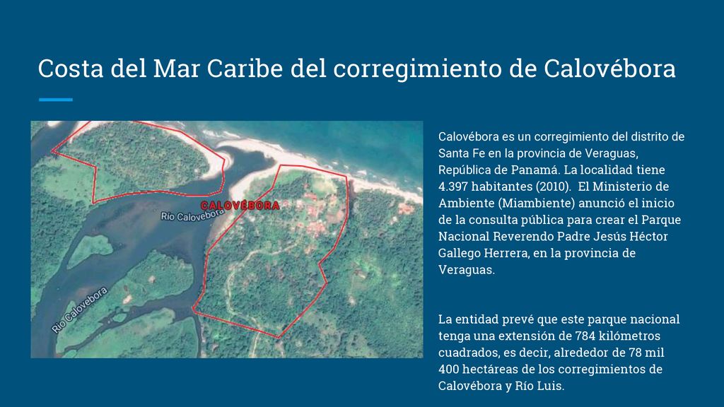 Costa del Mar Caribe del corregimiento de Calovébora