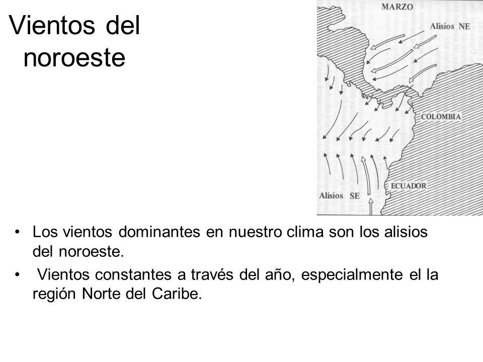 Vientos del noroeste Los vientos dominantes en nuestro clima son los alisios del noroeste.