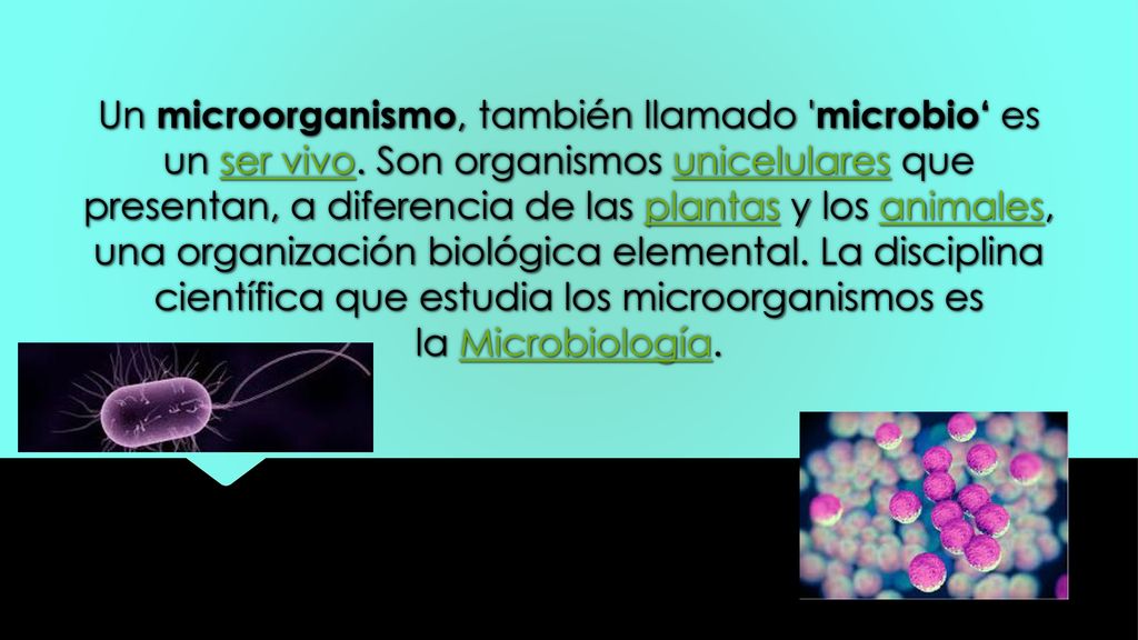 Un microorganismo, también llamado microbio‘ es un ser vivo