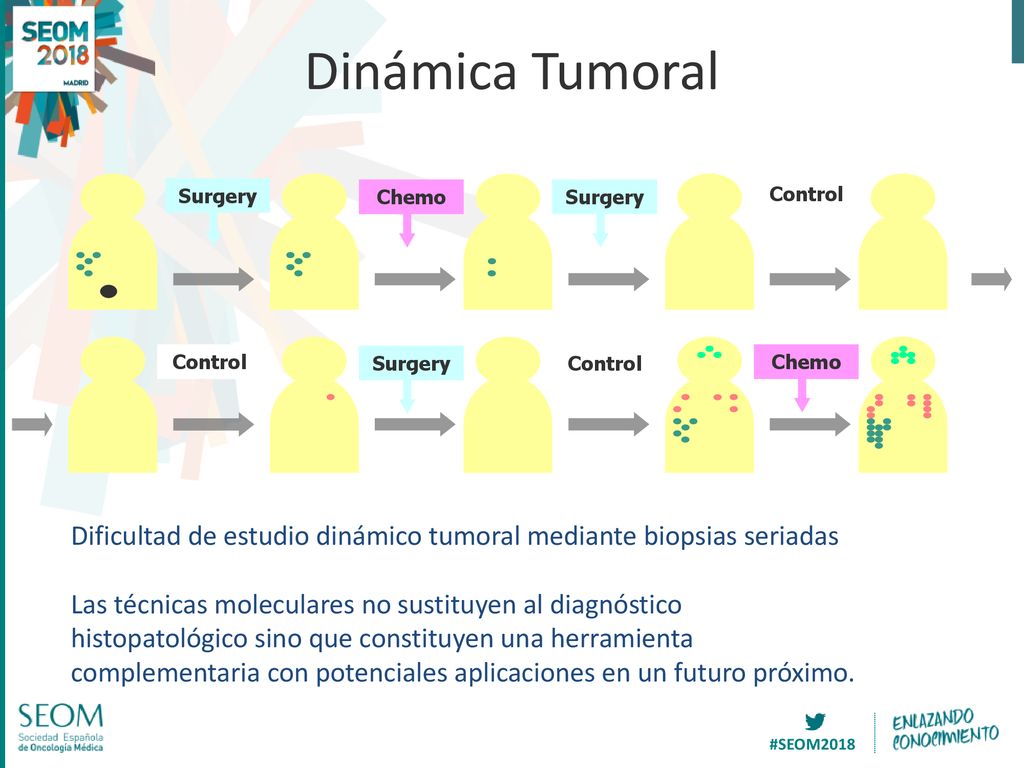 Dinámica Tumoral Surgery. Chemo. Control. Dificultad de estudio dinámico tumoral mediante biopsias seriadas.