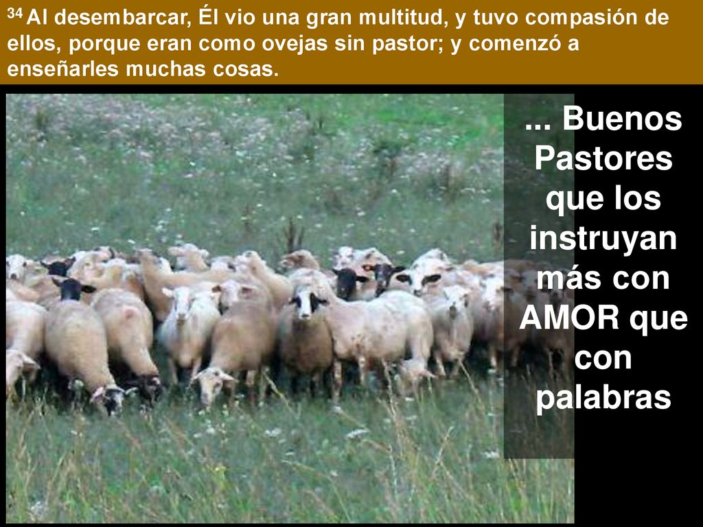 ... Buenos Pastores que los instruyan más con AMOR que con palabras