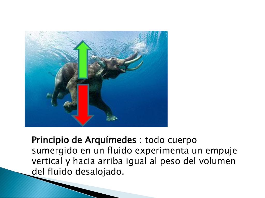 Principio de Arquímedes : todo cuerpo sumergido en un fluido experimenta un empuje vertical y hacia arriba igual al peso del volumen del fluido desalojado.