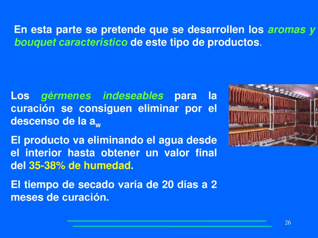 El tiempo de secado varía de 20 días a 2 meses de curación.