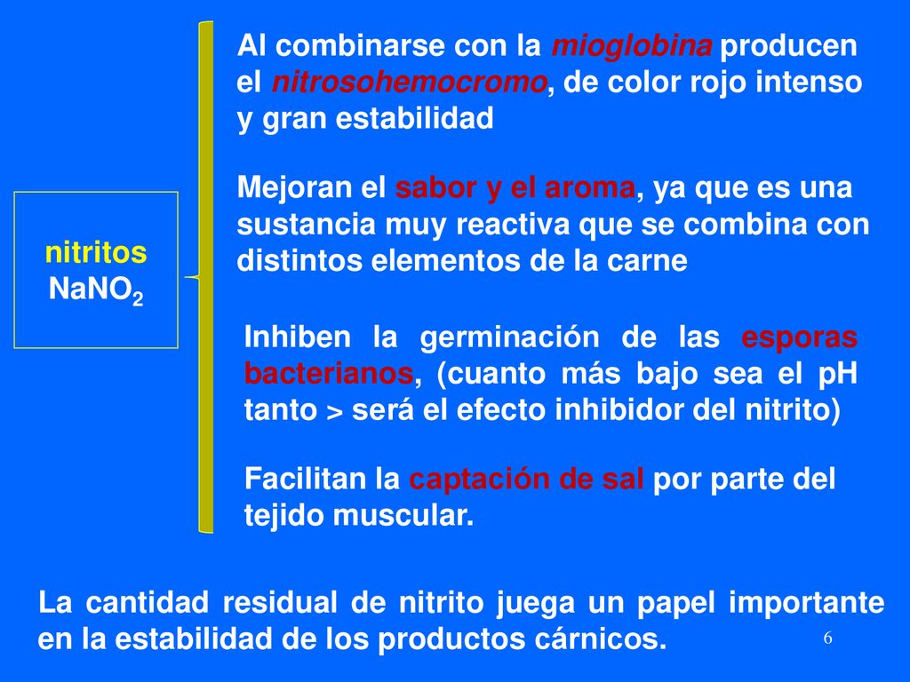 Facilitan la captación de sal por parte del tejido muscular.