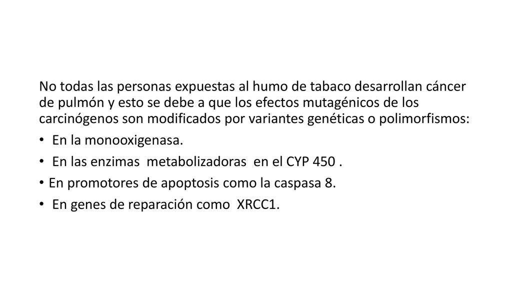 No todas las personas expuestas al humo de tabaco desarrollan cáncer de pulmón y esto se debe a que los efectos mutagénicos de los carcinógenos son modificados por variantes genéticas o polimorfismos: