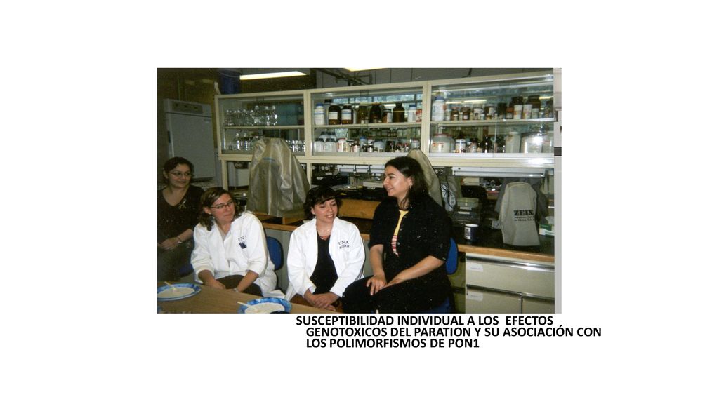 SUSCEPTIBILIDAD INDIVIDUAL A LOS EFECTOS GENOTOXICOS DEL PARATION Y SU ASOCIACIÓN CON LOS POLIMORFISMOS DE PON1