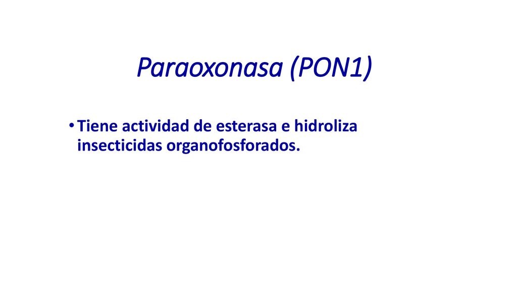 Paraoxonasa (PON1) Tiene actividad de esterasa e hidroliza insecticidas organofosforados. 25
