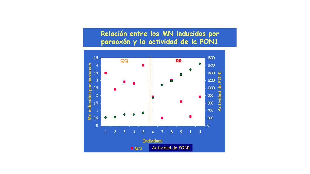 Relación entre los MN inducidos por paraoxón y la actividad de la PON1