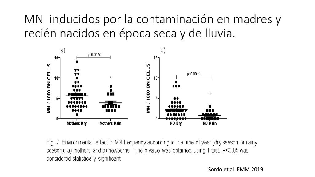 MN inducidos por la contaminación en madres y recién nacidos en época seca y de lluvia.