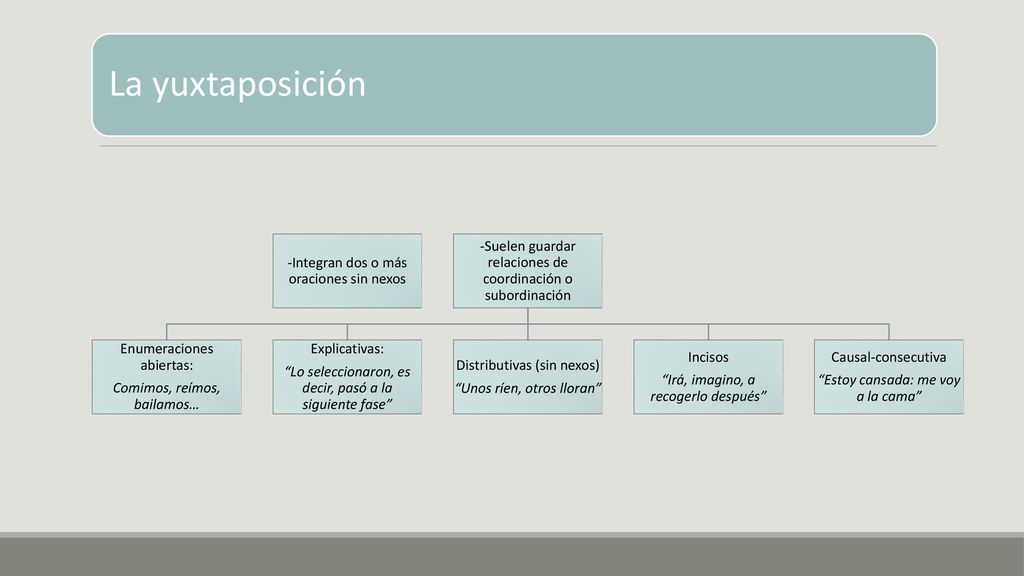 La yuxtaposición -Integran dos o más oraciones sin nexos