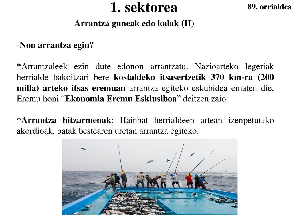 1. sektorea Arrantza guneak edo kalak (II) -Non arrantza egin