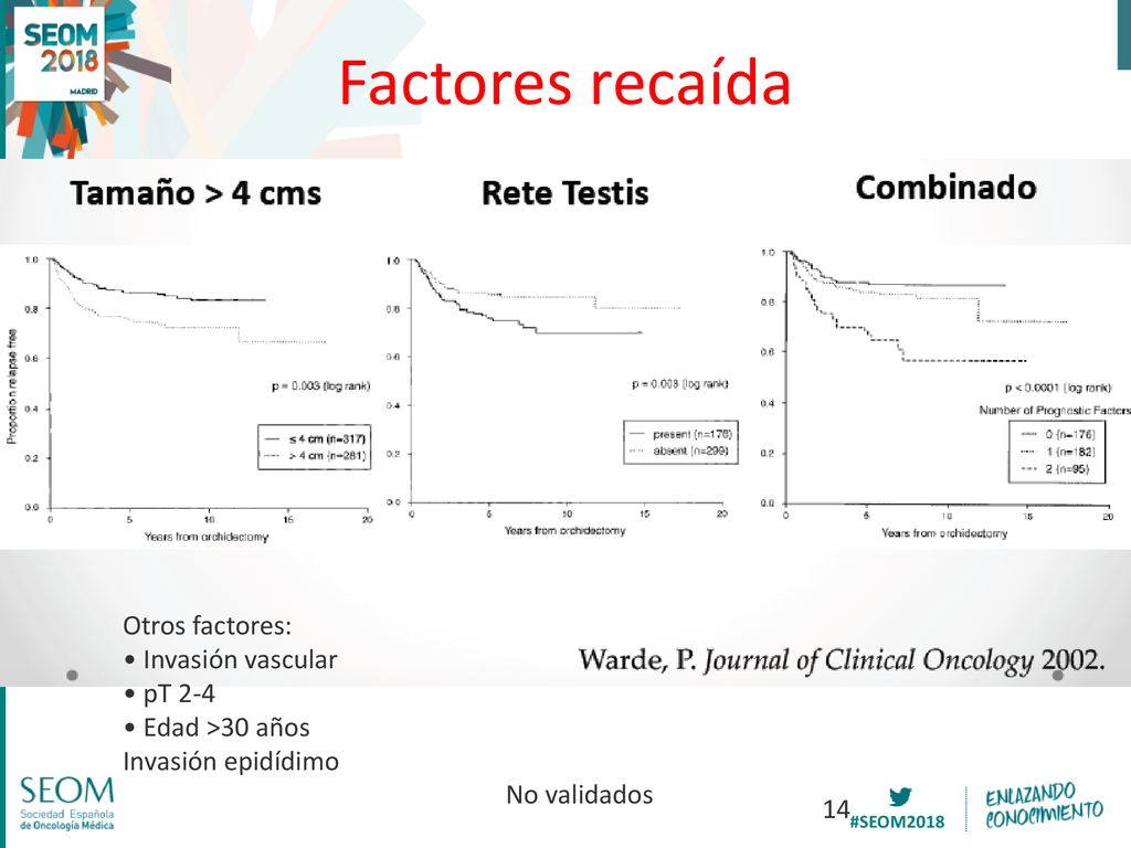Factores recaída Otros factores: • Invasión vascular • pT 2-4
