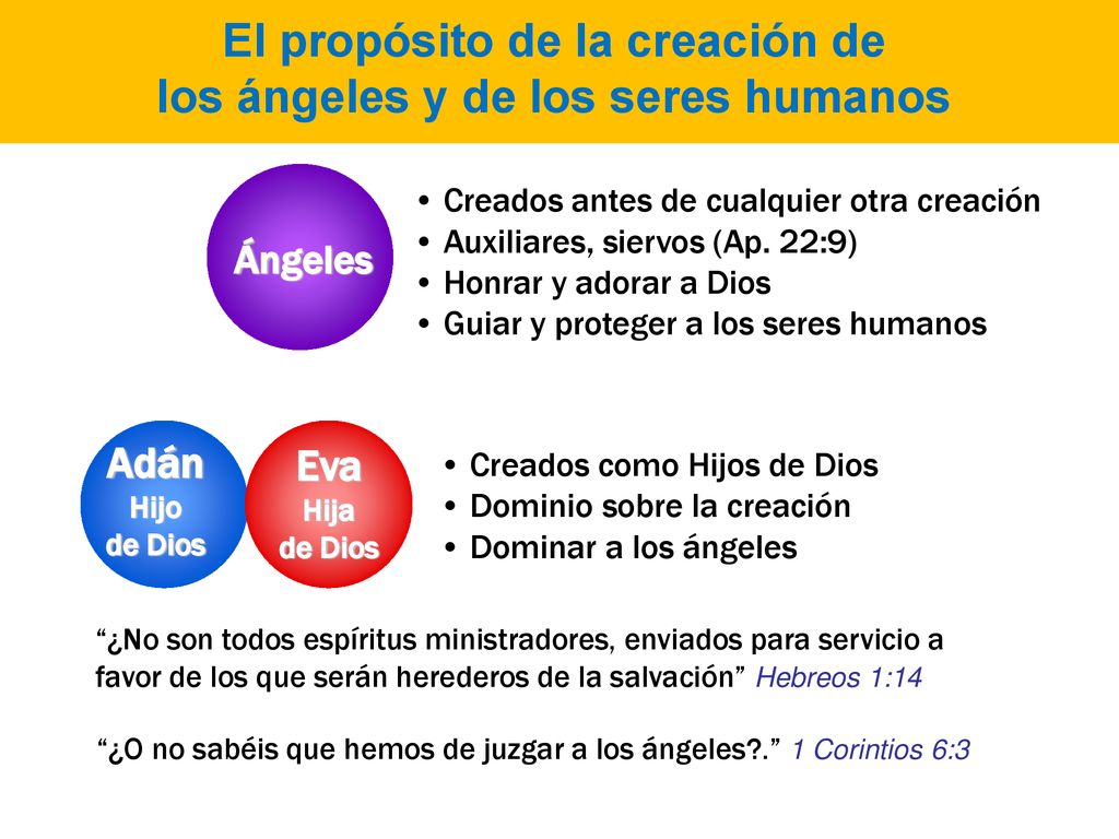 El propósito de la creación de los ángeles y de los seres humanos