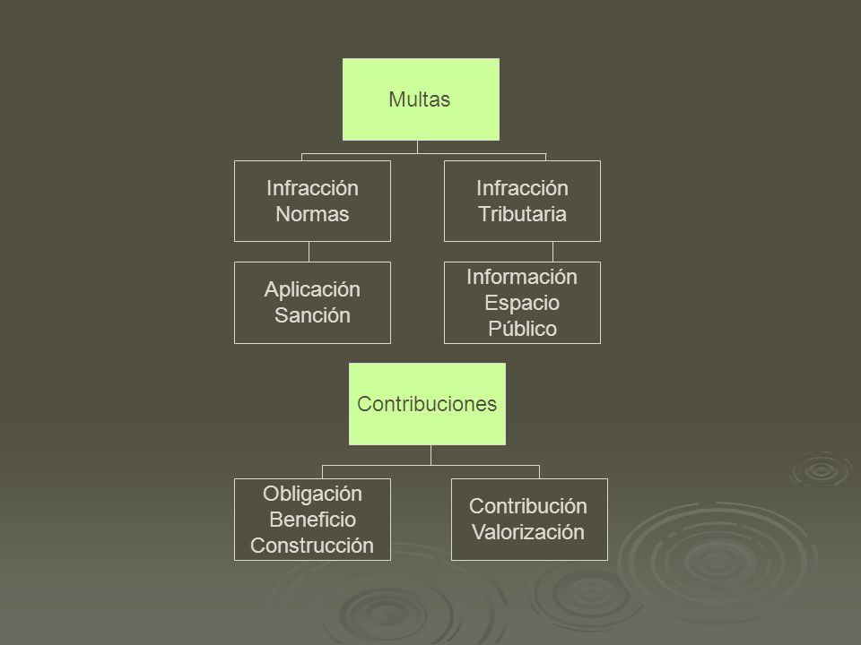 Multas Infracción. Normas. Infracción. Tributaria. Aplicación. Sanción. Información. Espacio.