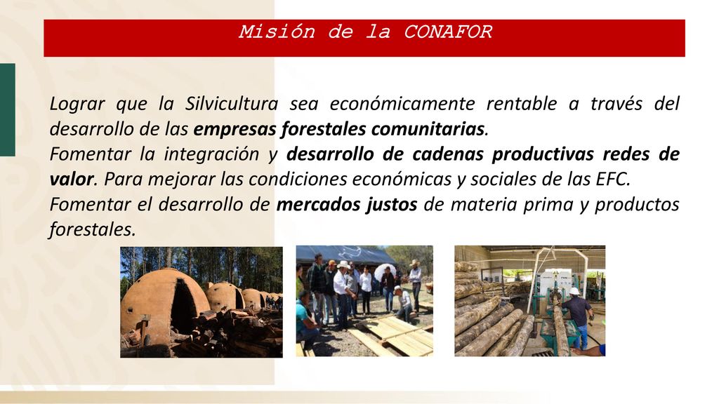 Misión de la CONAFOR Lograr que la Silvicultura sea económicamente rentable a través del desarrollo de las empresas forestales comunitarias.
