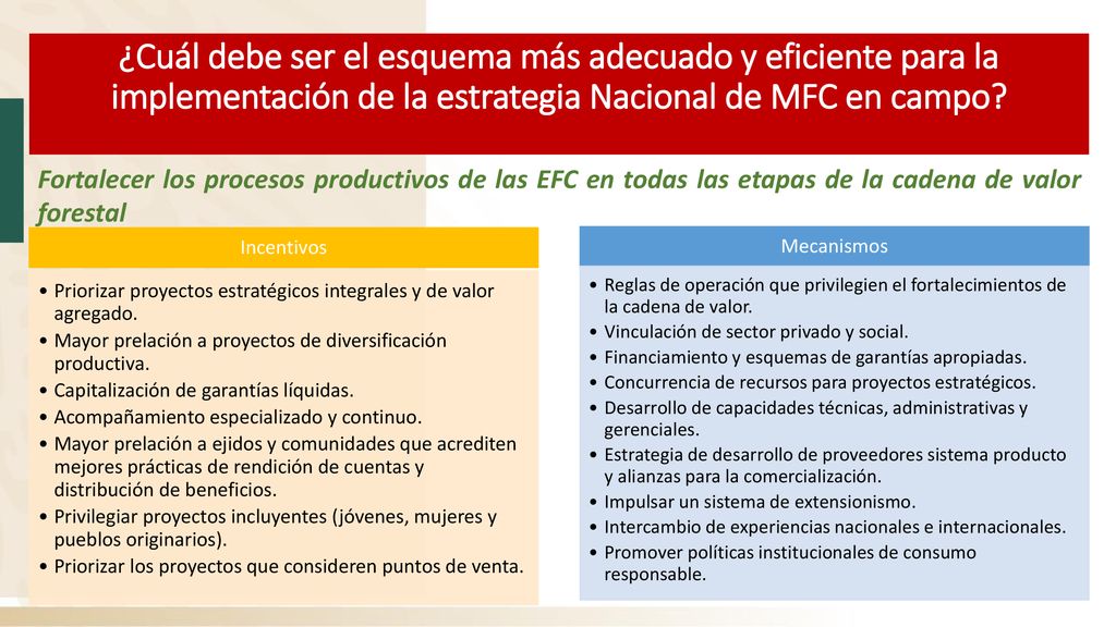 ¿Cuál debe ser el esquema más adecuado y eficiente para la implementación de la estrategia Nacional de MFC en campo