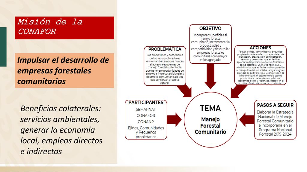 Misión de la CONAFOR Impulsar el desarrollo de empresas forestales comunitarias.