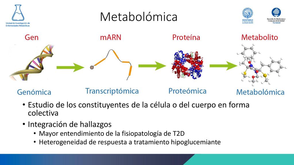Metabolómica Estudio de los constituyentes de la célula o del cuerpo en forma colectiva. Integración de hallazgos.