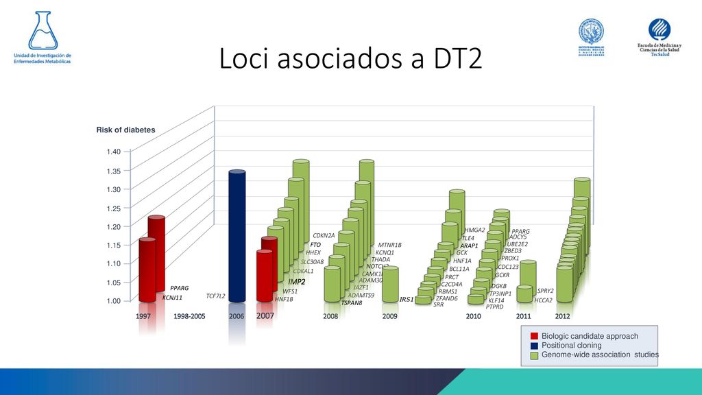 Loci asociados a DT2 Risk of diabetes MTNR1B. THADA. NOTCH2. CAMK1D. ADAM30. JAZF1. ADAMTS9.
