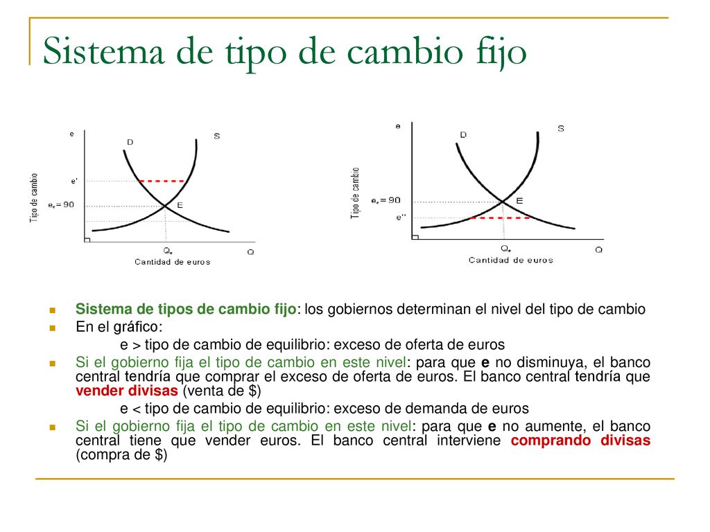 Sistema de tipo de cambio fijo