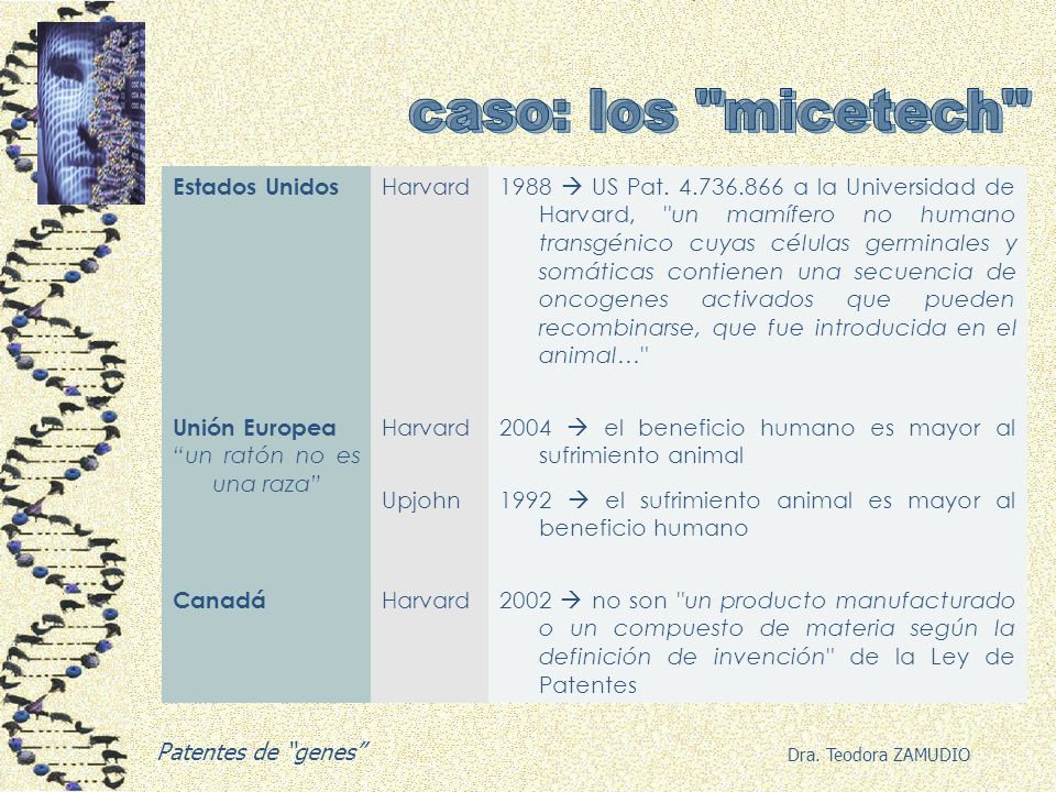 caso: los micetech Estados Unidos Harvard