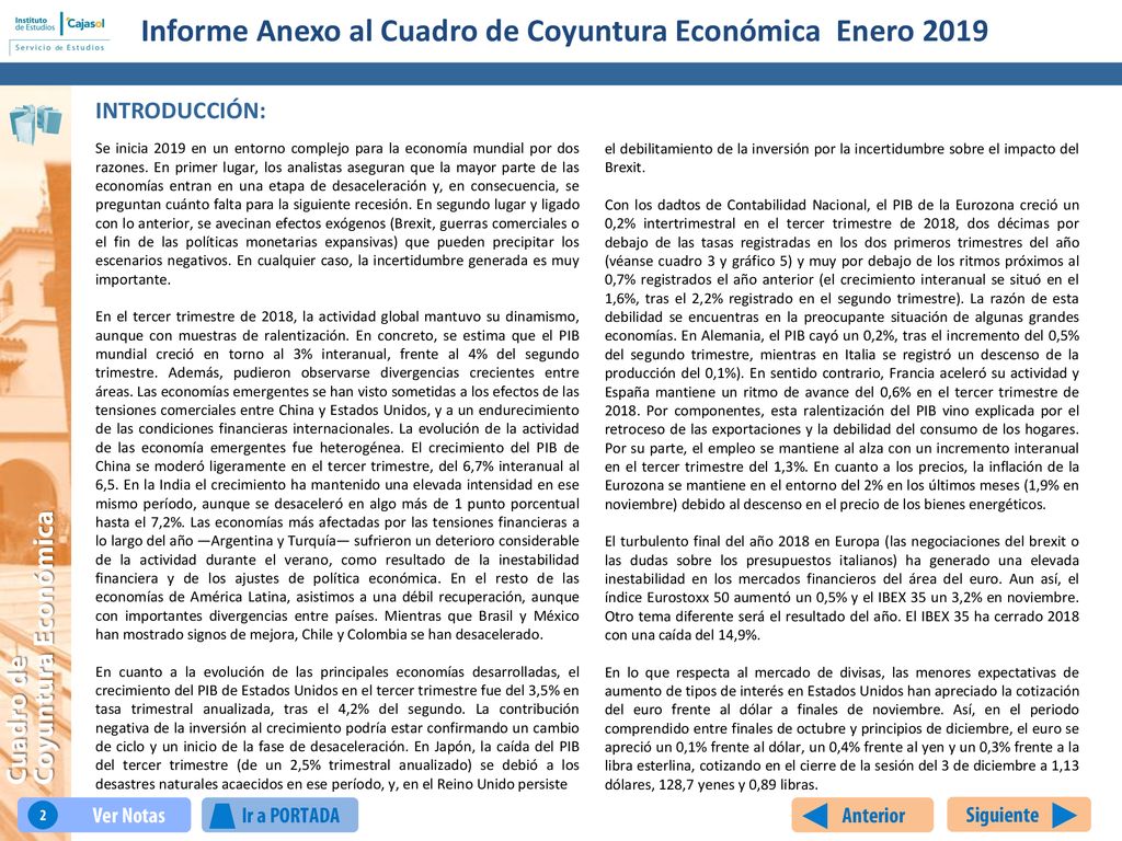Informe Anexo al Cuadro de Coyuntura Económica Enero 2019