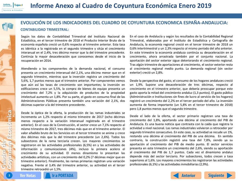 Informe Anexo al Cuadro de Coyuntura Económica Enero 2019