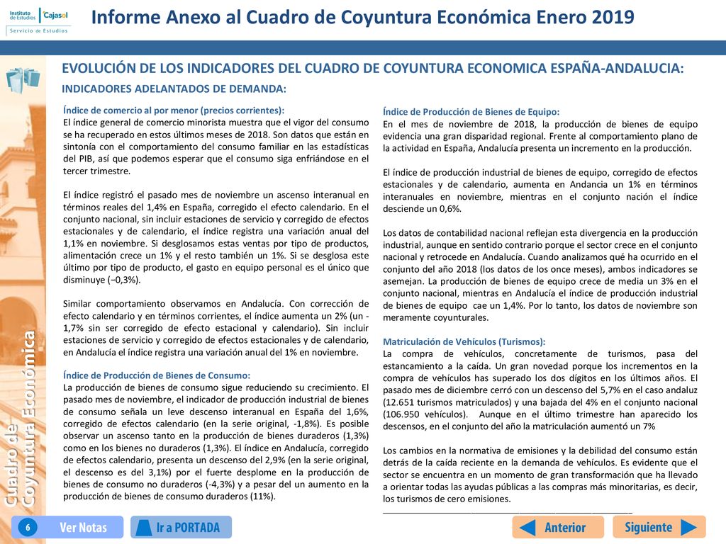 Informe Anexo al Cuadro de Coyuntura Económica Enero 2019