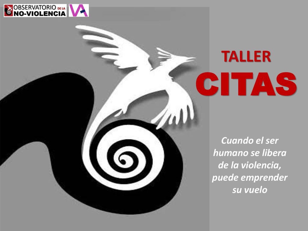 TALLER CITAS Cuando el ser humano se libera de la violencia, puede emprender su vuelo