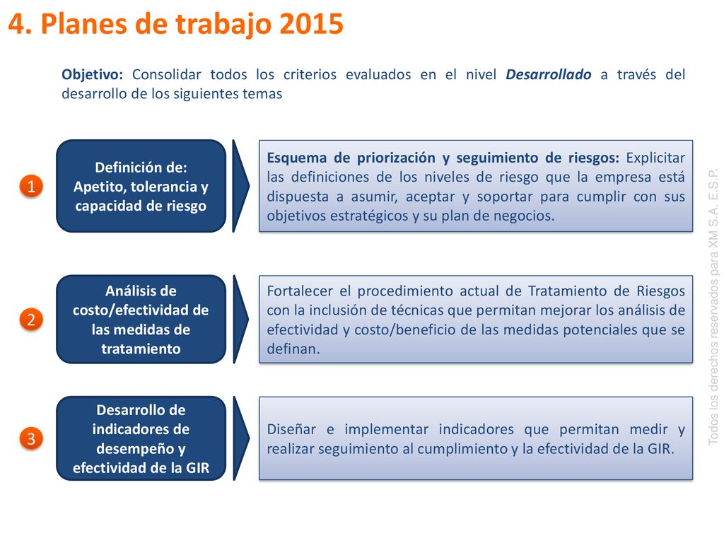 4. Planes de trabajo 2015 Objetivo: Consolidar todos los criterios evaluados en el nivel Desarrollado a través del desarrollo de los siguientes temas.