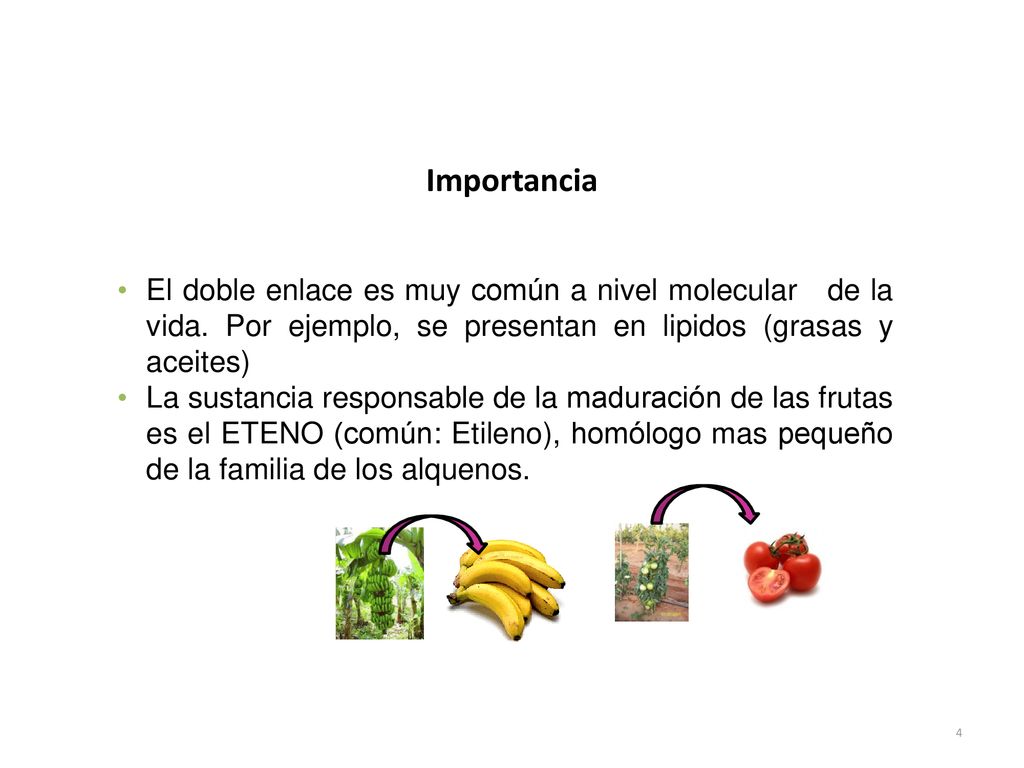Importancia El doble enlace es muy común a nivel molecular de la vida. Por ejemplo, se presentan en lipidos (grasas y aceites)