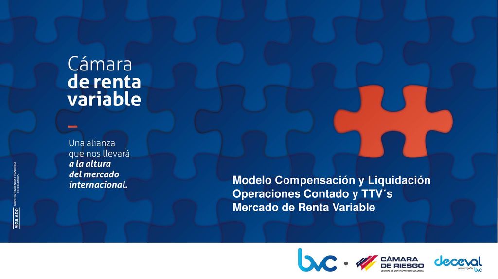 Modelo Compensación y Liquidación Operaciones Contado y TTV´s Mercado de Renta Variable