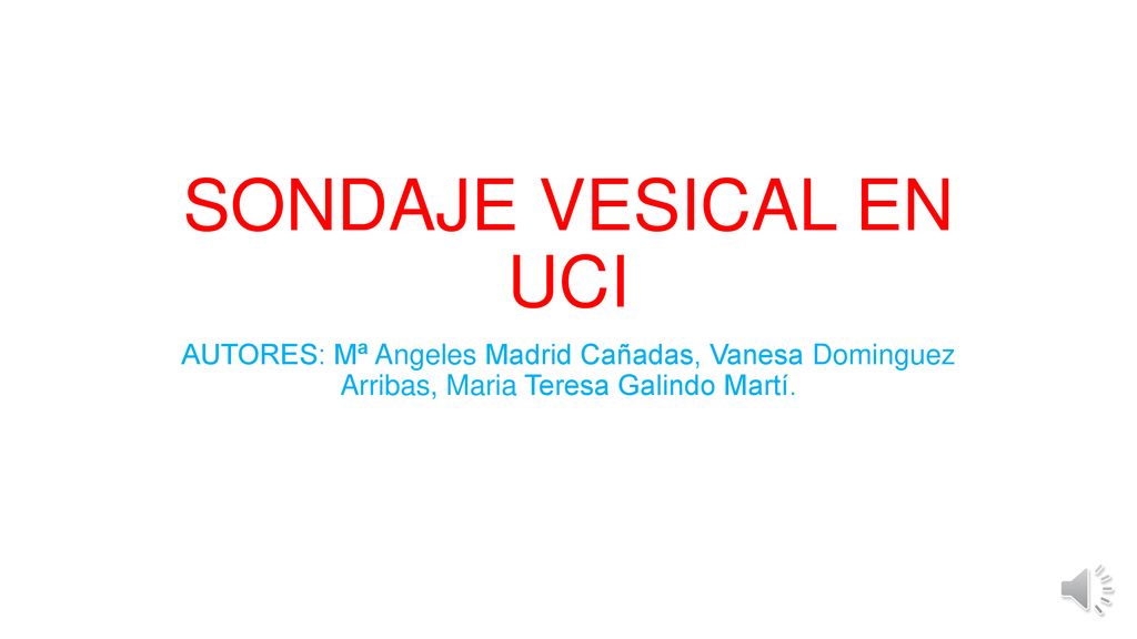 SONDAJE VESICAL EN UCI AUTORES: Mª Angeles Madrid Cañadas, Vanesa Dominguez Arribas, Maria Teresa Galindo Martí.