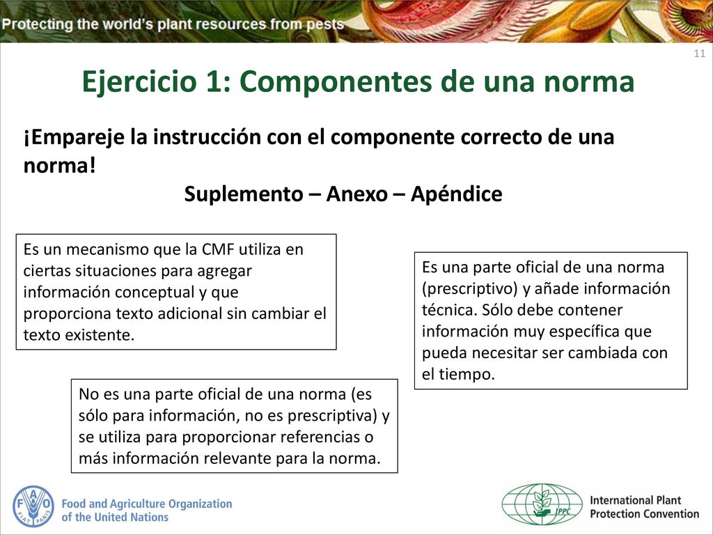 Ejercicio 1: Componentes de una norma Suplemento – Anexo – Apéndice