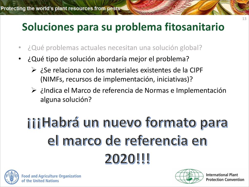 ¡¡¡Habrá un nuevo formato para el marco de referencia en 2020!!!