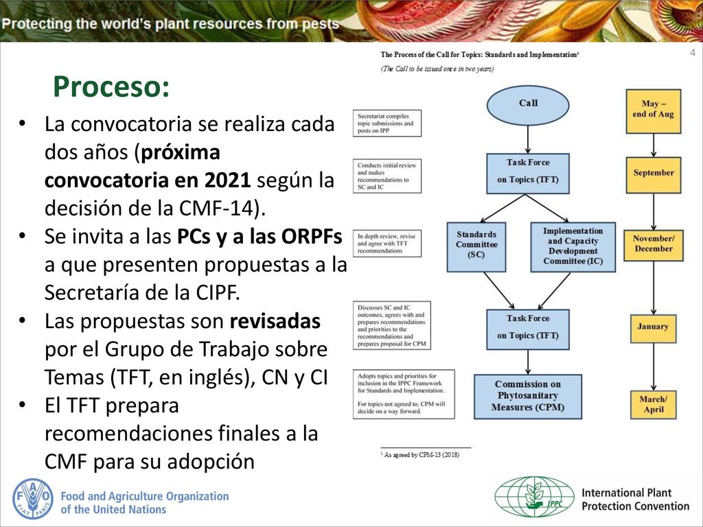 Proceso: La convocatoria se realiza cada dos años (próxima convocatoria en 2021 según la decisión de la CMF-14).