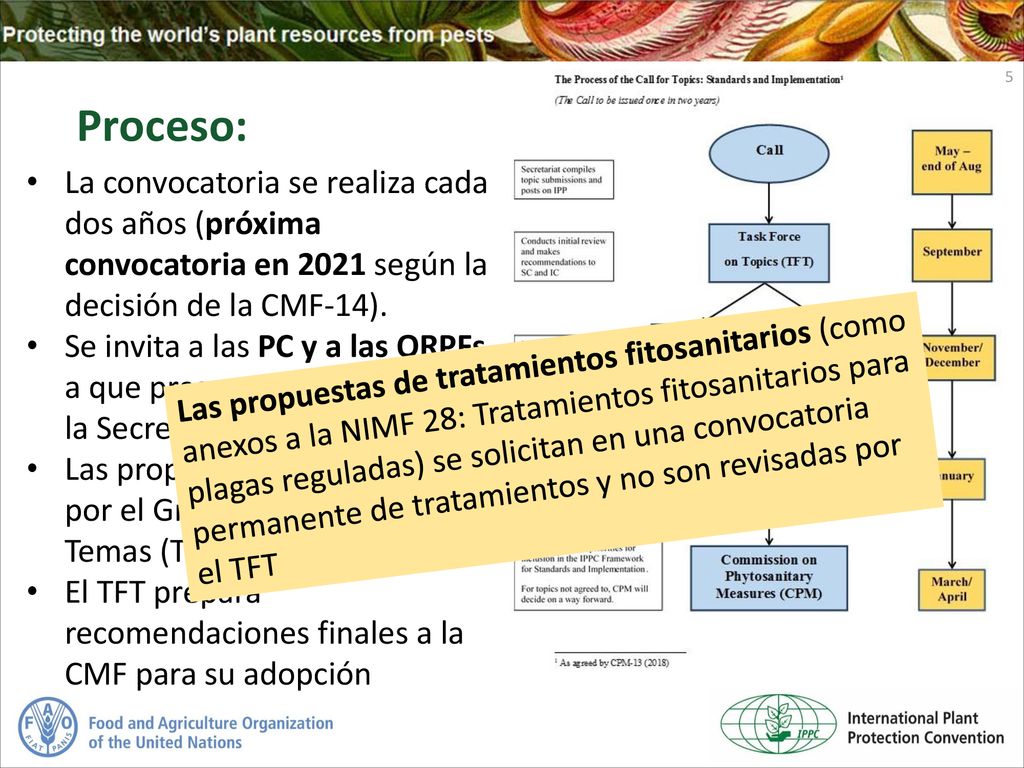 Proceso: La convocatoria se realiza cada dos años (próxima convocatoria en 2021 según la decisión de la CMF-14).
