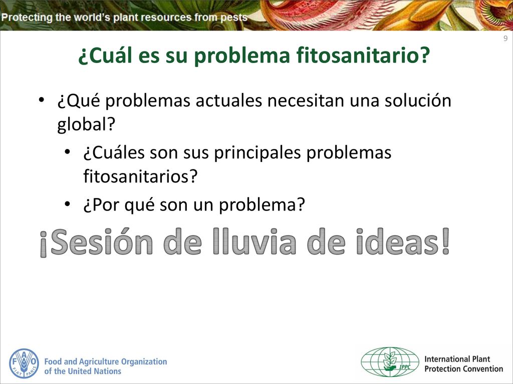 ¿Cuál es su problema fitosanitario ¡Sesión de lluvia de ideas!