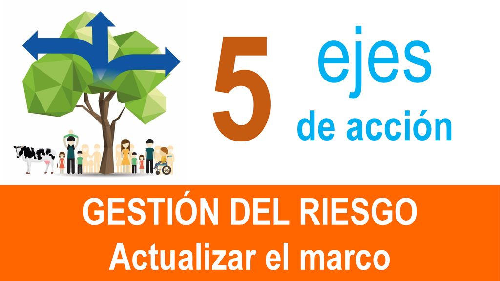 5 ejes de acción GESTIÓN DEL RIESGO Actualizar el marco