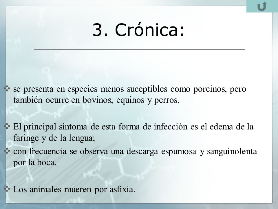 3. Crónica: se presenta en especies menos suceptibles como porcinos, pero también ocurre en bovinos, equinos y perros.
