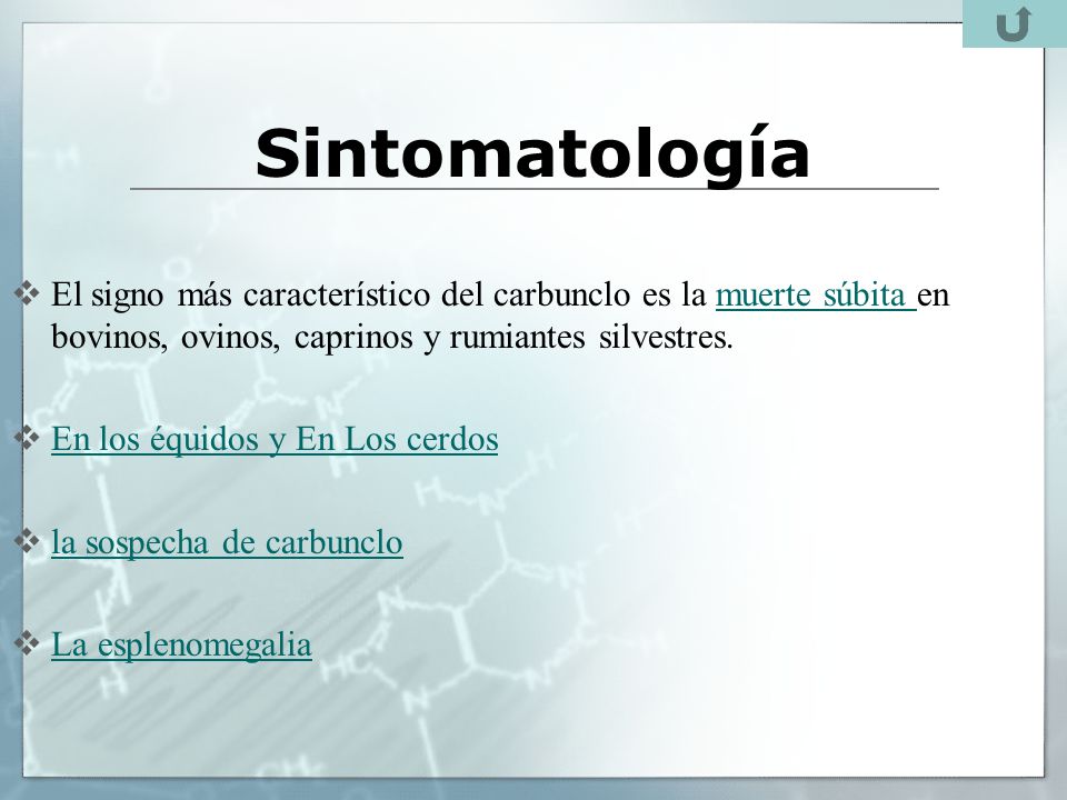 Sintomatología El signo más característico del carbunclo es la muerte súbita en bovinos, ovinos, caprinos y rumiantes silvestres.