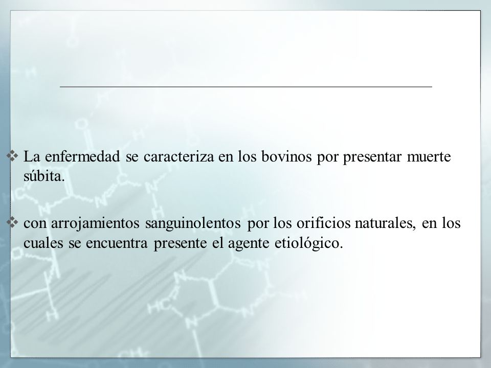 La enfermedad se caracteriza en los bovinos por presentar muerte súbita.
