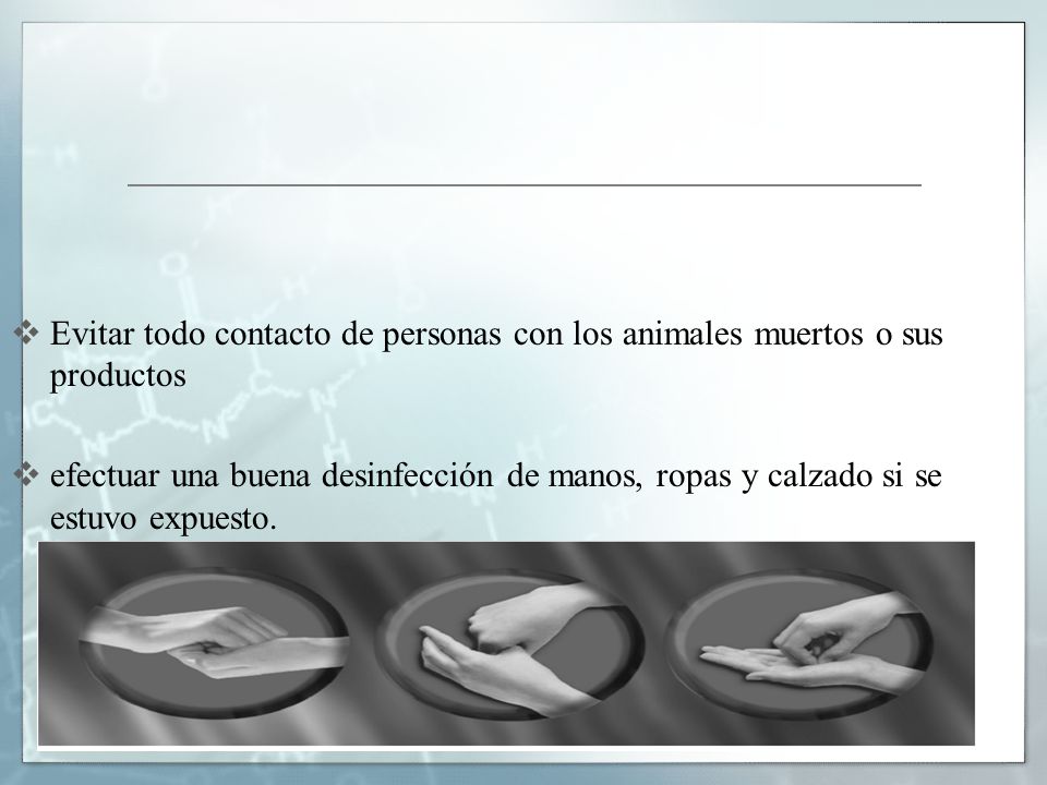 Evitar todo contacto de personas con los animales muertos o sus productos