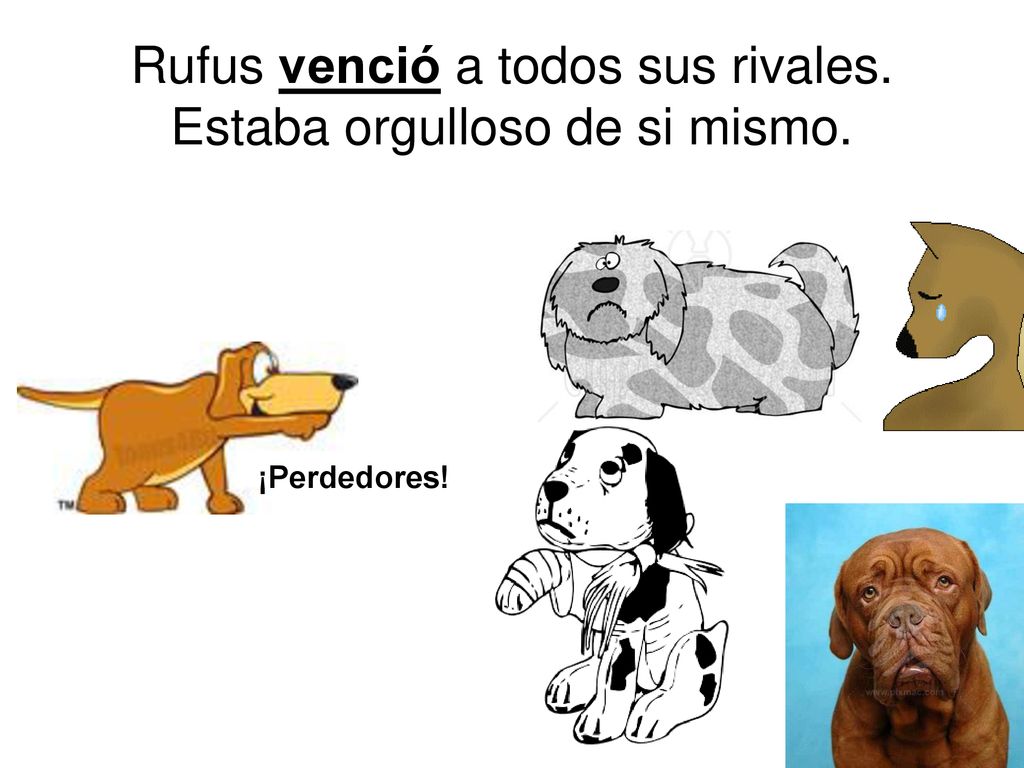 Rufus venció a todos sus rivales. Estaba orgulloso de si mismo.