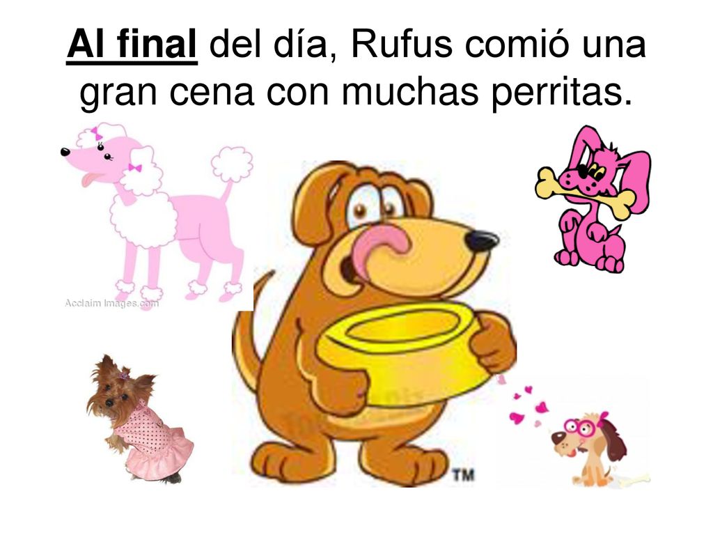 Al final del día, Rufus comió una gran cena con muchas perritas.