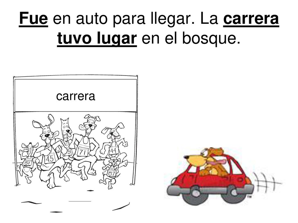 Fue en auto para llegar. La carrera tuvo lugar en el bosque.