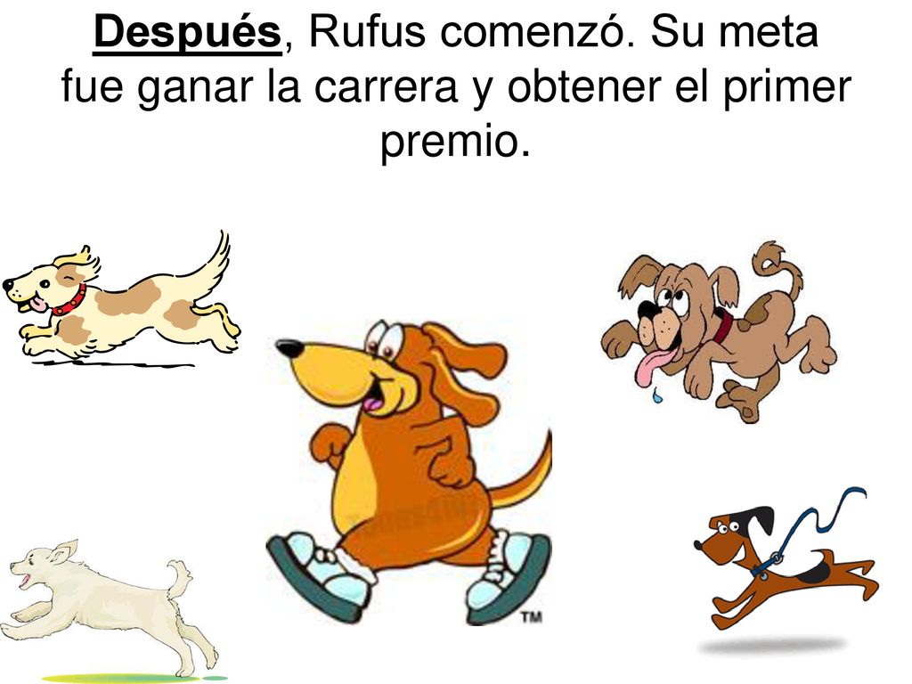 Después, Rufus comenzó. Su meta fue ganar la carrera y obtener el primer premio.