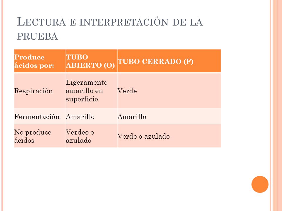 Lectura e interpretación de la prueba