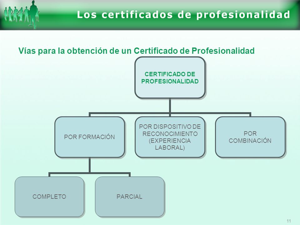 Vías para la obtención de un Certificado de Profesionalidad